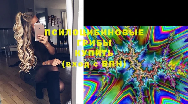 марки lsd Белокуриха