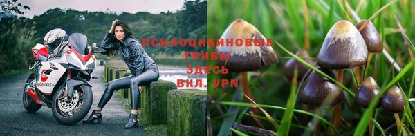 винт Белоозёрский