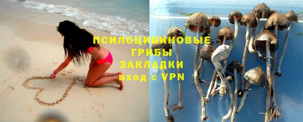 марки lsd Белокуриха