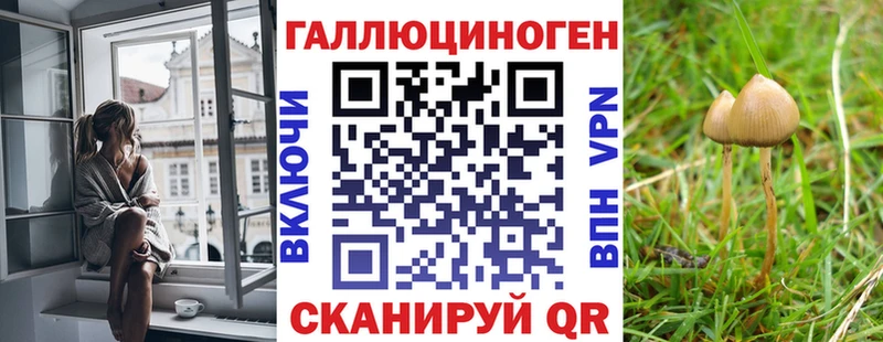 Псилоцибиновые грибы Cubensis Ворсма