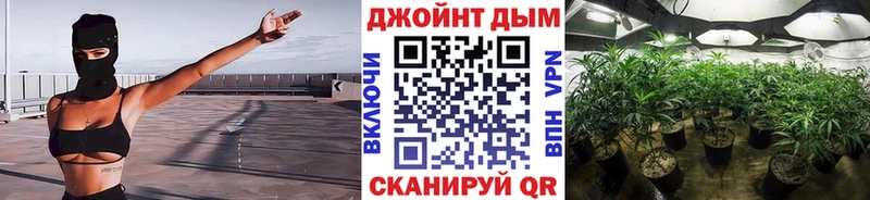 где купить   Ворсма  Канабис Ganja 